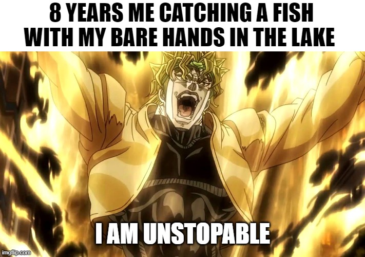 when you | 8 YEARS ME CATCHING A FISH WITH MY BARE HANDS IN THE LAKE; I AM UNSTOPABLE | image tagged in za warudo | made w/ Imgflip meme maker