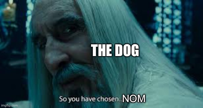 So you have chosen death | THE DOG NOM | image tagged in so you have chosen death | made w/ Imgflip meme maker