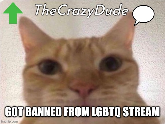 Crazy dude temp | GOT BANNED FROM LGBTQ STREAM | image tagged in crazy dude temp | made w/ Imgflip meme maker