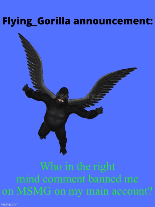 Flying_Gorilla announcement | Who in the right mind comment banned me on MSMG on my main account? | image tagged in flying_gorilla announcement | made w/ Imgflip meme maker