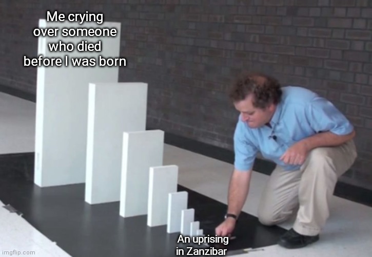 Domino Effect | Me crying over someone who died before I was born; An uprising in Zanzibar | image tagged in domino effect,queencirclejerk | made w/ Imgflip meme maker