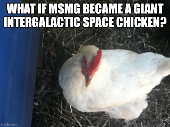 CHICKENS | WHAT IF MSMG BECAME A GIANT INTERGALACTIC SPACE CHICKEN? | image tagged in memes,angry chicken boss | made w/ Imgflip meme maker