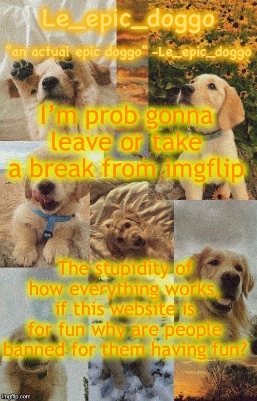 Doggo temp by doggo. Wait what that’s confusing | I’m prob gonna leave or take a break from imgflip; The stupidity of how everything works, if this website is for fun why are people banned for them having fun? | image tagged in doggo temp by doggo wait what that s confusing | made w/ Imgflip meme maker