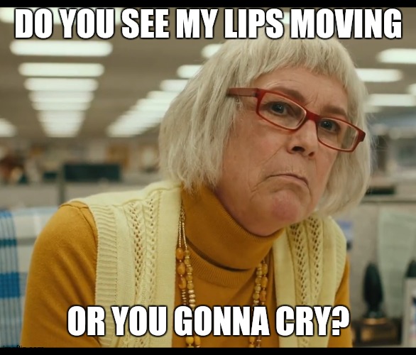 Auditor Bitch | DO YOU SEE MY LIPS MOVING; OR YOU GONNA CRY? | image tagged in auditor bitch | made w/ Imgflip meme maker