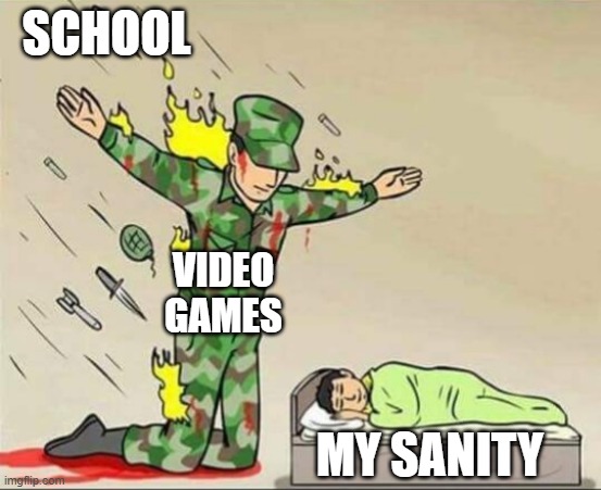 Soldier protecting sleeping child | SCHOOL; VIDEO GAMES; MY SANITY | image tagged in soldier protecting sleeping child | made w/ Imgflip meme maker