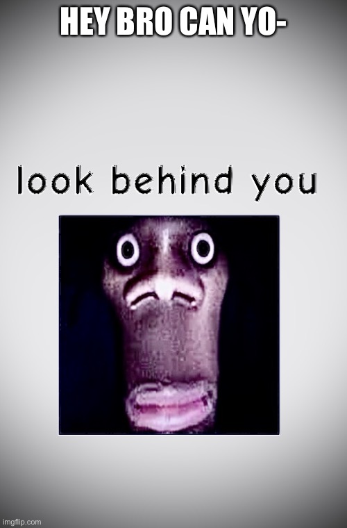 Look behind you | HEY BRO CAN YO- | image tagged in look behind you | made w/ Imgflip meme maker