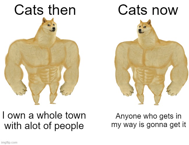 true | Cats then; Cats now; I own a whole town with alot of people; Anyone who gets in my way is gonna get it | image tagged in cool cat stroll | made w/ Imgflip meme maker