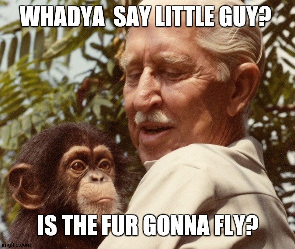 Cornelius | WHADYA  SAY LITTLE GUY? IS THE FUR GONNA FLY? | image tagged in cornelius | made w/ Imgflip meme maker