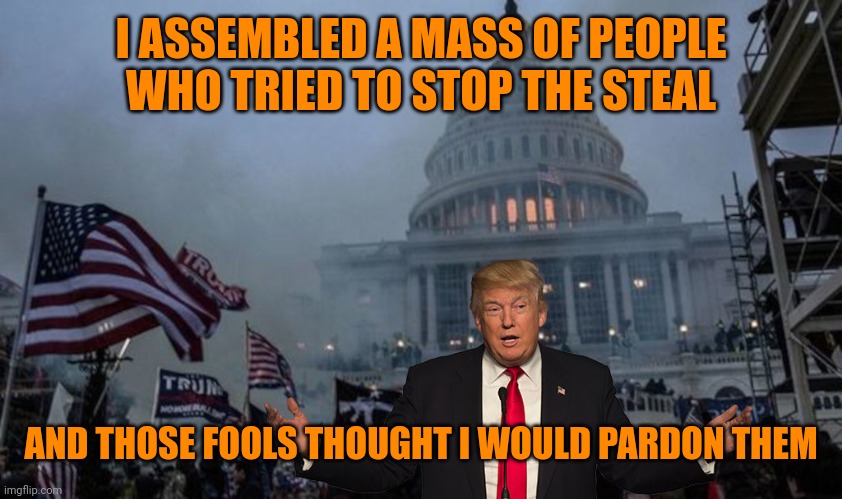 Pardon me | I ASSEMBLED A MASS OF PEOPLE WHO TRIED TO STOP THE STEAL; AND THOSE FOOLS THOUGHT I WOULD PARDON THEM | image tagged in misconstrued coup | made w/ Imgflip meme maker