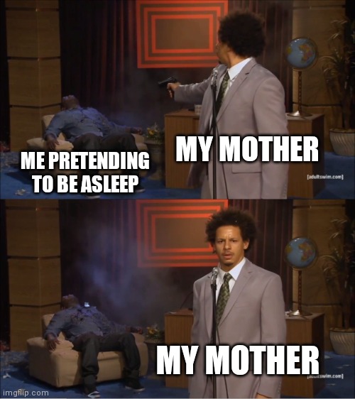 Who Killed Hannibal Meme | MY MOTHER; ME PRETENDING TO BE ASLEEP; MY MOTHER | image tagged in memes,who killed hannibal | made w/ Imgflip meme maker