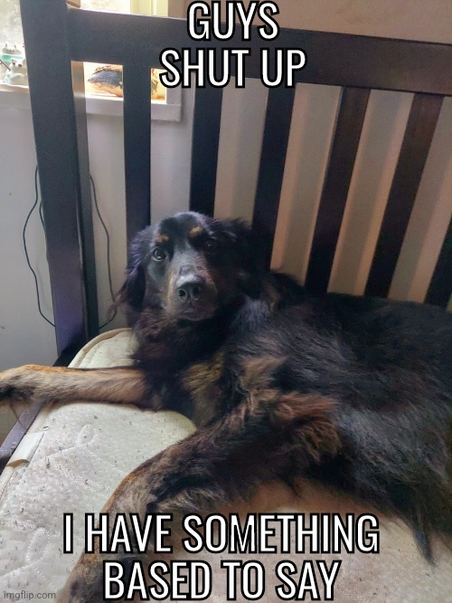 Guys she's gonna say something based | GUYS SHUT UP; I HAVE SOMETHING BASED TO SAY | made w/ Imgflip meme maker