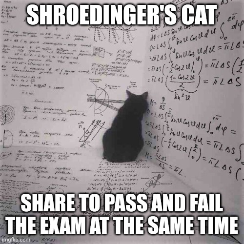 Shroedinger's cat |  SHROEDINGER'S CAT; SHARE TO PASS AND FAIL THE EXAM AT THE SAME TIME | image tagged in physics,cats,exams,nerd,black cat,depressed cat | made w/ Imgflip meme maker