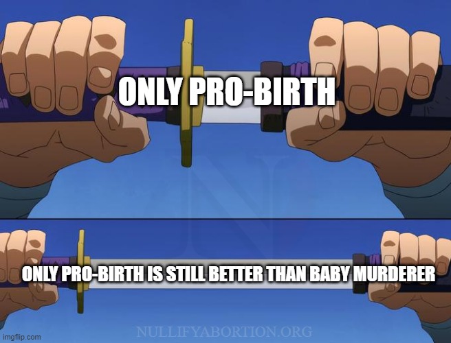 Pro-birth — you say this like it's a bad thing | ONLY PRO-BIRTH; ONLY PRO-BIRTH IS STILL BETTER THAN BABY MURDERER; NULLIFYABORTION.ORG | image tagged in unsheathe sword,pro-life,prolife,abortion,pro-choice,pro-birth | made w/ Imgflip meme maker
