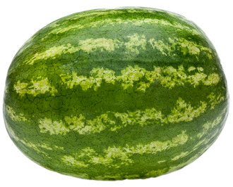 Watermelon (transparent background) Blank Meme Template