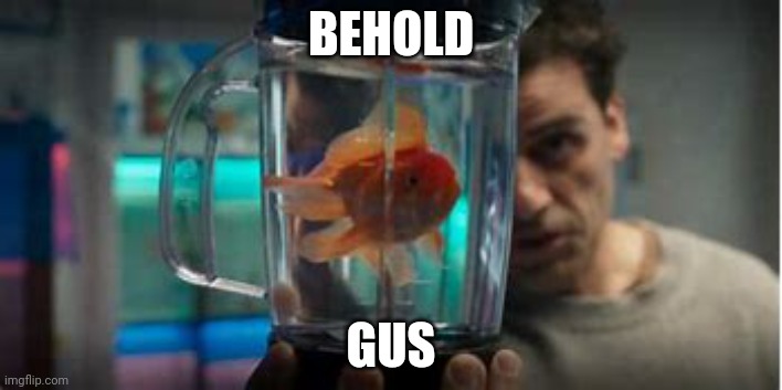 BEHOLD; GUS | made w/ Imgflip meme maker