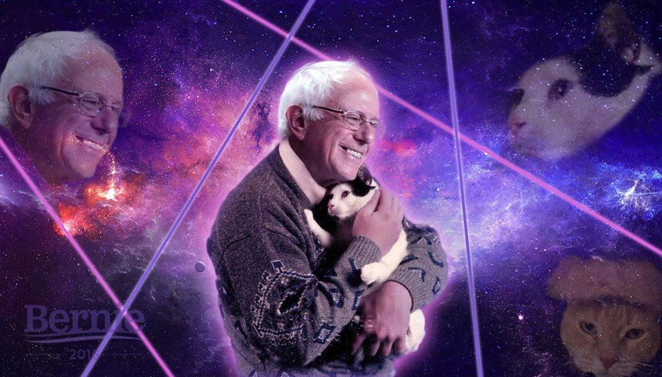 High Quality Bernie Cats Blank Meme Template