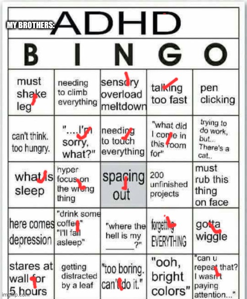 My brothers adhd | MY BROTHERS: | image tagged in adhd bingo,brothers,adhd,help | made w/ Imgflip meme maker