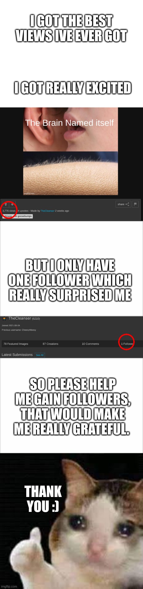 Follower Gain | I GOT THE BEST VIEWS IVE EVER GOT; I GOT REALLY EXCITED; BUT I ONLY HAVE ONE FOLLOWER WHICH REALLY SURPRISED ME; SO PLEASE HELP ME GAIN FOLLOWERS, THAT WOULD MAKE ME REALLY GRATEFUL. THANK YOU :) | image tagged in blank white template,followers,begging,thank you,please,front page | made w/ Imgflip meme maker