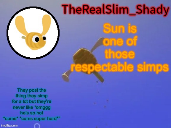 Like those dudes are annoying | Sun is one of those respectable simps; They post the thing they simp for a lot but they’re never like “omggg he’s so hot *cums* *cums super hard*” | image tagged in shady s hunnabee temp thanks carlos | made w/ Imgflip meme maker