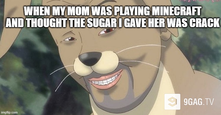 Weird anime hentai furry | WHEN MY MOM WAS PLAYING MINECRAFT AND THOUGHT THE SUGAR I GAVE HER WAS CRACK | image tagged in weird anime hentai furry | made w/ Imgflip meme maker