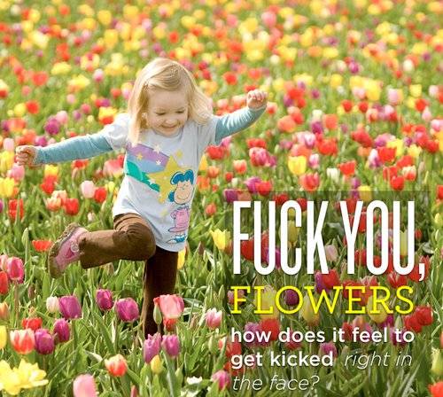 image tagged in funny