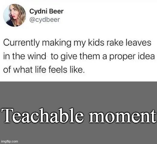 Life |  Teachable moment | image tagged in fun,teachable moment,life,life lessons,up and downs | made w/ Imgflip meme maker
