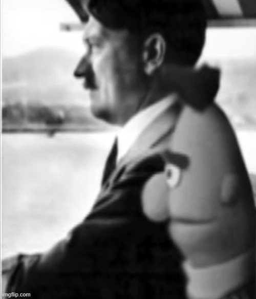 evil bert | image tagged in rmk,evil bert | made w/ Imgflip meme maker