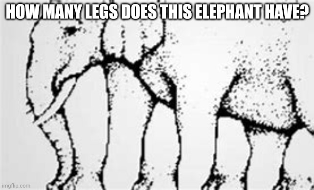 HOW MANY LEGS DOES THIS ELEPHANT HAVE? | made w/ Imgflip meme maker