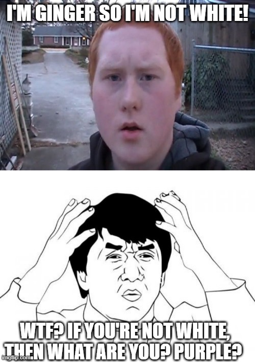 Yes, CopperCab really does say that smh -_- lol | I'M GINGER SO I'M NOT WHITE! WTF? IF YOU'RE NOT WHITE, THEN WHAT ARE YOU? PURPLE? | image tagged in gingers,memes,jackie chan wtf | made w/ Imgflip meme maker