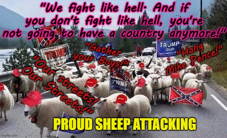 Proud Sheep attacking - Hang Mike Pence - Our streets - Gather your Boys! | "We fight like hell. And if you don't fight like hell, you're not going to have a country anymore!"; "Hang Mike Pence!"; "Gather your Boys!"; "Our streets! Our Streets!"; PROUD SHEEP ATTACKING | image tagged in trump's sheeple protesting riot white supremacist,white supremacy,republican,trump,treason,militia | made w/ Imgflip meme maker