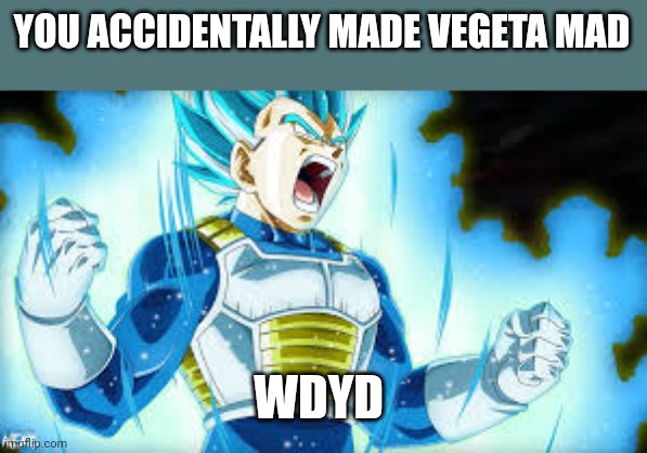 YOU ACCIDENTALLY MADE VEGETA MAD; WDYD | made w/ Imgflip meme maker