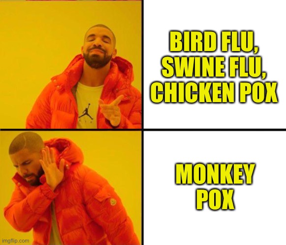 Call It Like It Is | BIRD FLU, SWINE FLU,
CHICKEN POX; MONKEY POX | image tagged in chicken pox,monkey pox,flu,swine,chicken | made w/ Imgflip meme maker