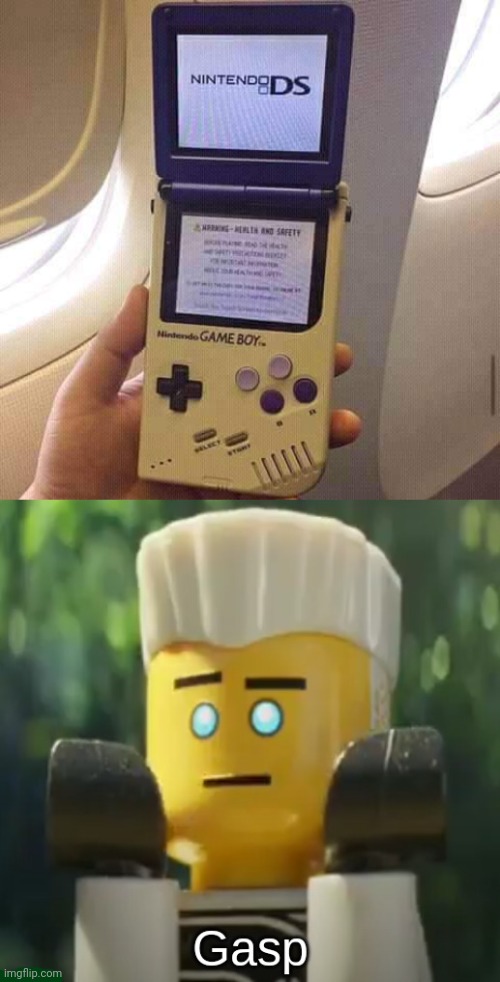Nintendo DS Game Boy | image tagged in zane gasp,gaming,nintendo,nintendo ds,game boy,memes | made w/ Imgflip meme maker