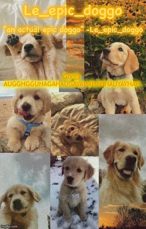 Doggo temp by doggo. Wait what that’s confusing | Goofy AUGGHGGUHAGAHAUGAYAHAHAHHAUYAYHAH | image tagged in doggo temp by doggo wait what that s confusing | made w/ Imgflip meme maker