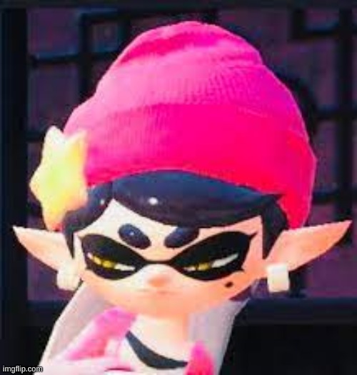 Salty callie meme | image tagged in salty callie meme | made w/ Imgflip meme maker