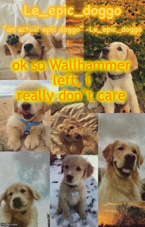 Doggo temp by doggo. Wait what that’s confusing | ok so Wallhammer left, I really don’t care | image tagged in doggo temp by doggo wait what that s confusing | made w/ Imgflip meme maker