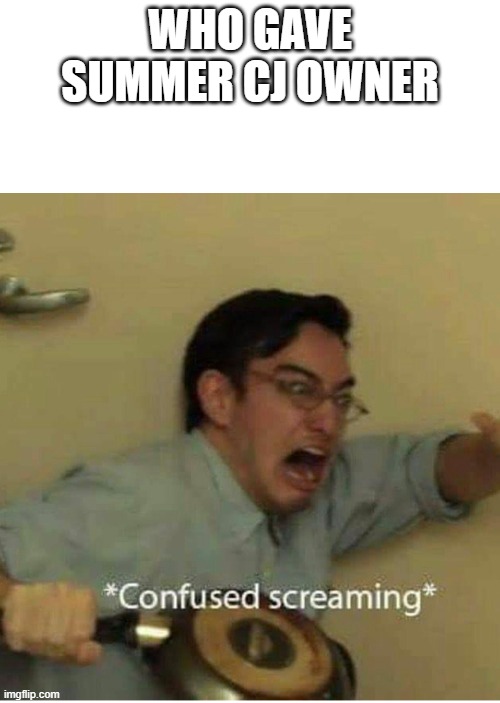 confused screaming | WHO GAVE SUMMER CJ OWNER | image tagged in confused screaming | made w/ Imgflip meme maker