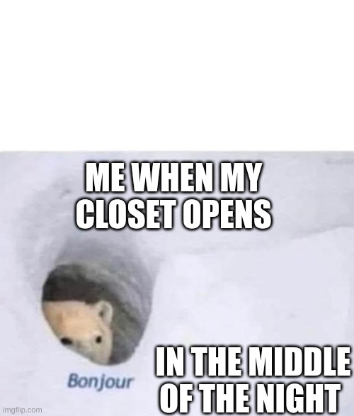 Bonjour | ME WHEN MY CLOSET OPENS; IN THE MIDDLE OF THE NIGHT | image tagged in bonjour | made w/ Imgflip meme maker