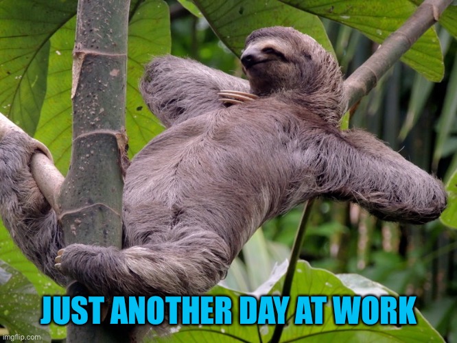 Lazy Sloth | JUST ANOTHER DAY AT WORK | image tagged in lazy sloth | made w/ Imgflip meme maker