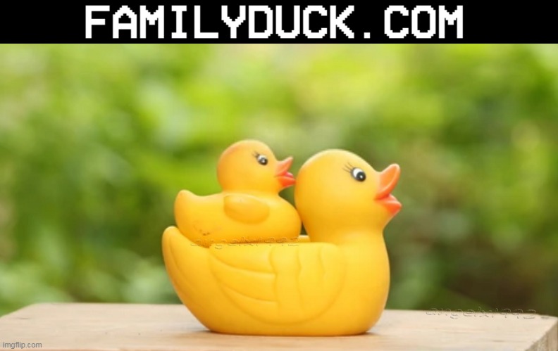 image tagged in rubber ducky,toys,bath toys,ducks,rubber toys,bath time | made w/ Imgflip meme maker