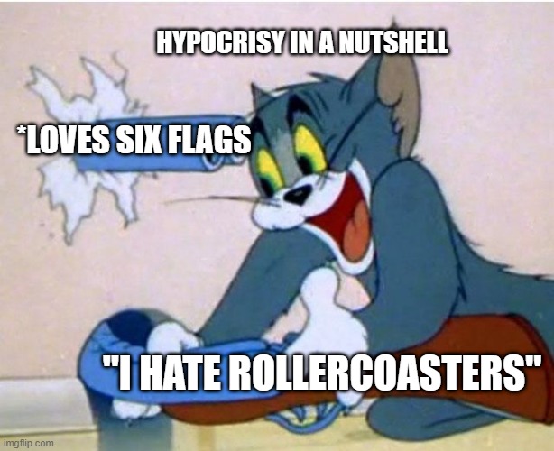 hypocrites annoy me | HYPOCRISY IN A NUTSHELL; *LOVES SIX FLAGS; "I HATE ROLLERCOASTERS" | image tagged in tom and jerry | made w/ Imgflip meme maker