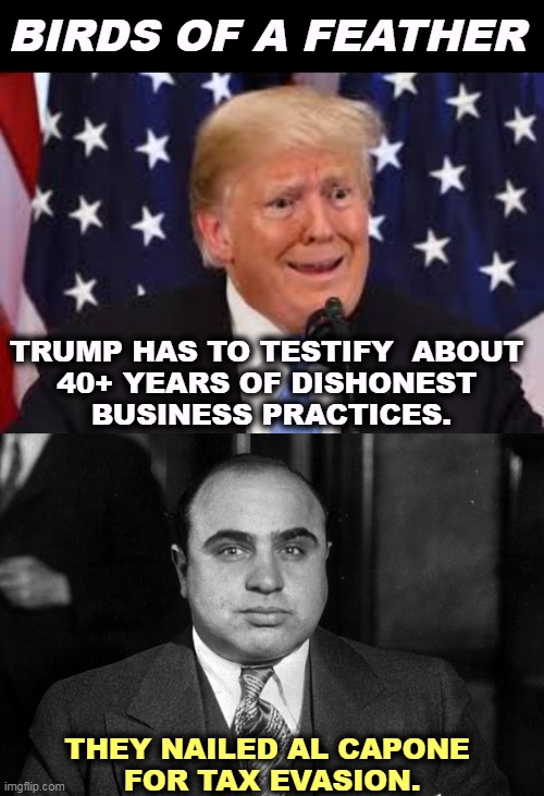 There is no Presidential Immunity if you're a tax cheat. | BIRDS OF A FEATHER; TRUMP HAS TO TESTIFY  ABOUT 
40+ YEARS OF DISHONEST 
BUSINESS PRACTICES. THEY NAILED AL CAPONE 
FOR TAX EVASION. | image tagged in trump dilated and taken aback,al capone,gangster,trump,tax,cheat | made w/ Imgflip meme maker