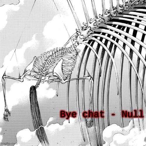 . | Bye chat - Null | made w/ Imgflip meme maker