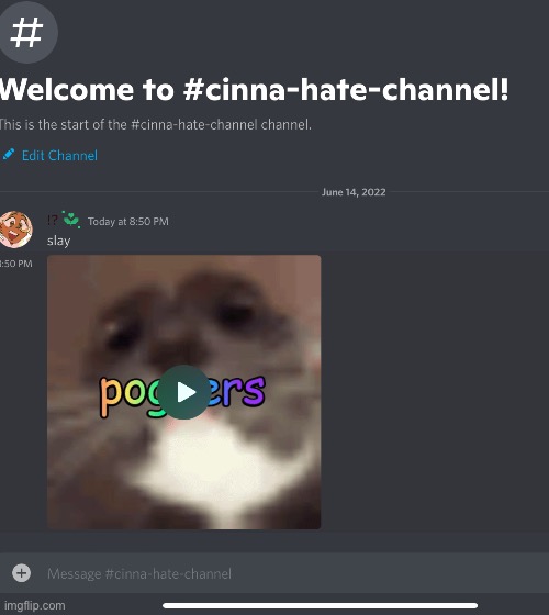 YAYAYHAHAHHAYAYAYA YEASSS BITCHES I HAVE MY OWN HATE CHANNEL /pos | made w/ Imgflip meme maker