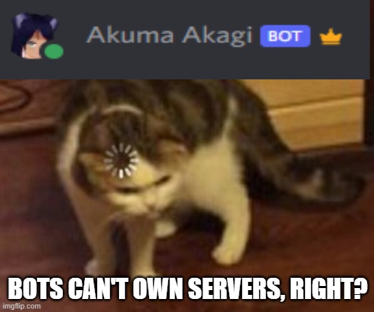 Loading cat | BOTS CAN'T OWN SERVERS, RIGHT? | image tagged in loading cat | made w/ Imgflip meme maker