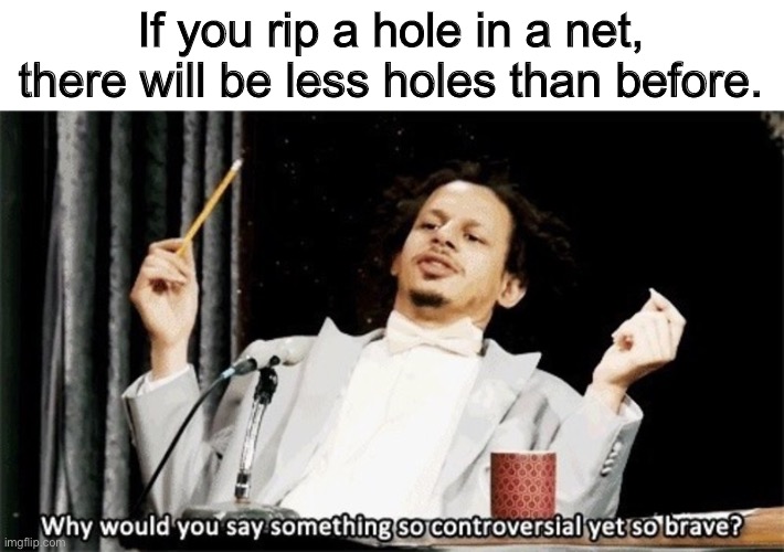 Why would you say something so controversial yet so brave? | If you rip a hole in a net, there will be less holes than before. | image tagged in why would you say something so controversial yet so brave,technically the truth,unfunny | made w/ Imgflip meme maker