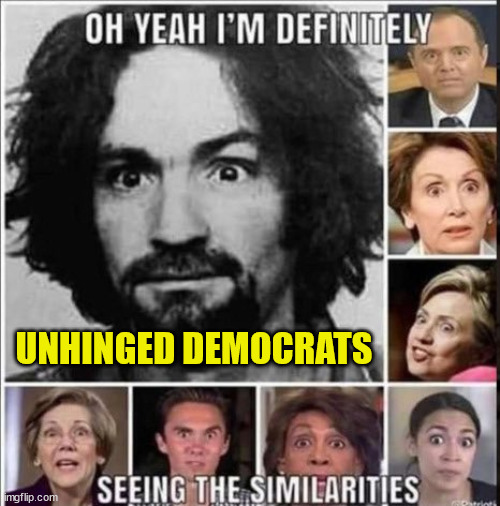 Birds of a feather | UNHINGED DEMOCRATS | image tagged in sick,democrats,mental illness | made w/ Imgflip meme maker