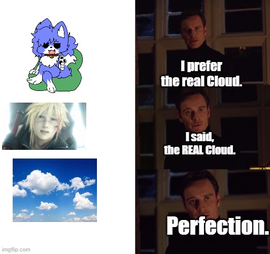 The REAL Cloud | I prefer the real Cloud. I said, the REAL Cloud. Perfection. | image tagged in perfection | made w/ Imgflip meme maker