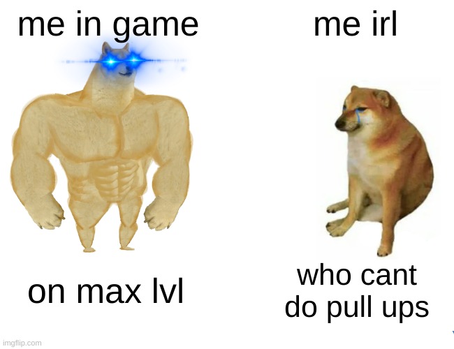 Buff Doge vs. Cheems | me in game; me irl; on max lvl; who cant do pull ups | image tagged in memes,buff doge vs cheems | made w/ Imgflip meme maker