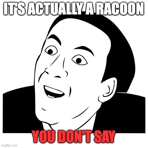 you don't say | IT'S ACTUALLY A RACOON YOU DON'T SAY | image tagged in you don't say | made w/ Imgflip meme maker